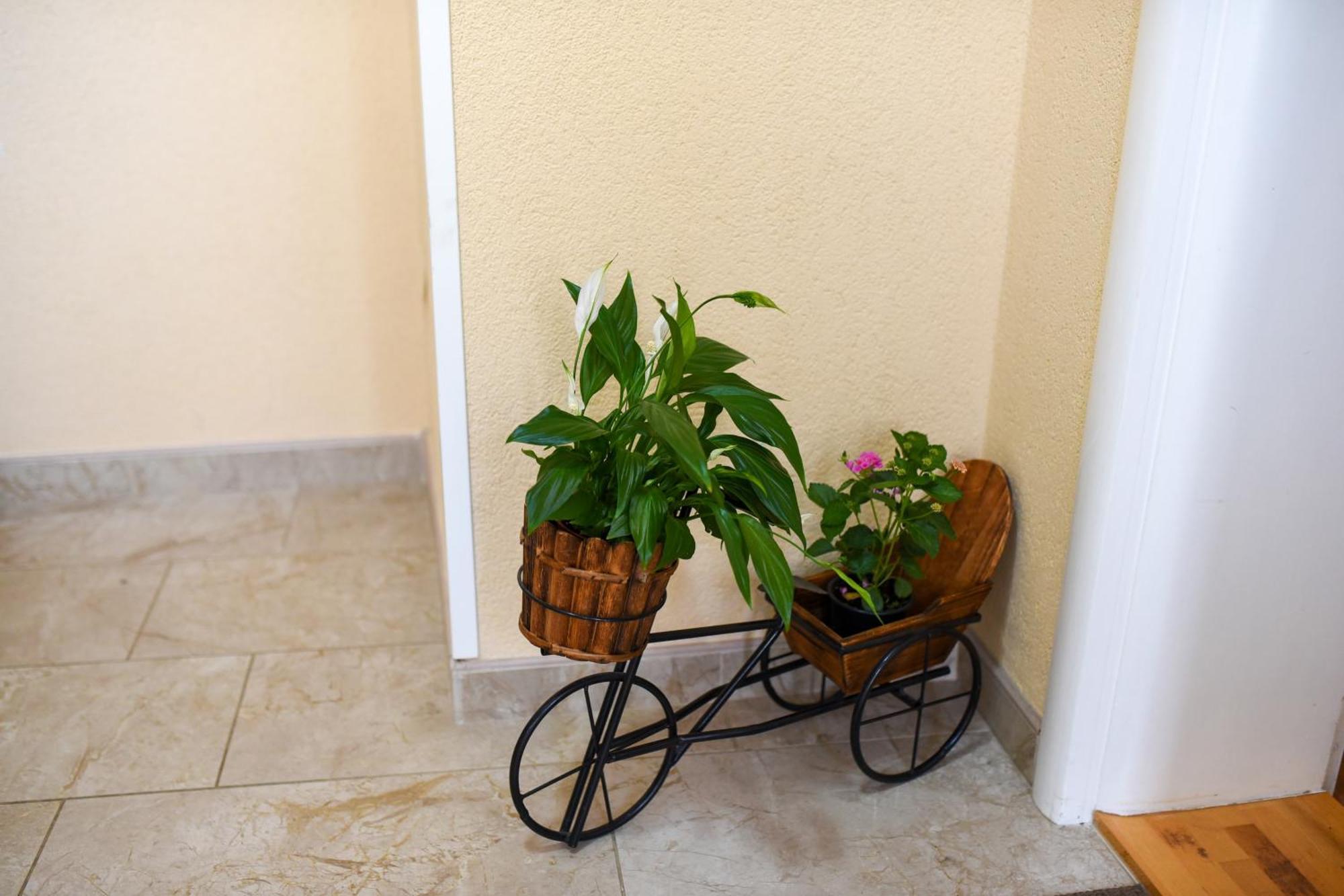 Dalila Apartman Mostar Exterior photo